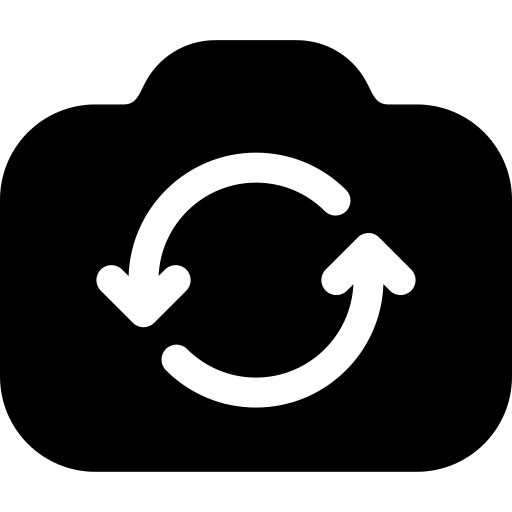 Switch Camera
